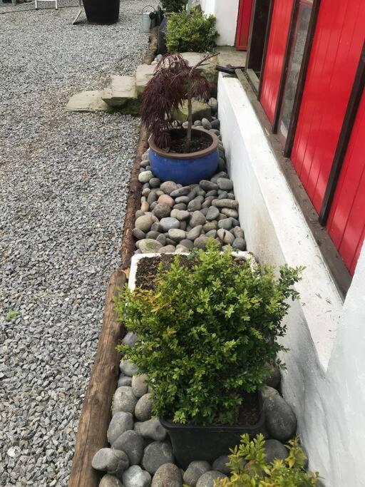 Stone Wall Cottage Castlewellan Zewnętrze zdjęcie